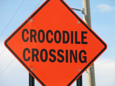 Ok, I was scared of crocodiles jumping out of the nearby boonies... but I was told later that only alligators are the agressive ones, and they don't live in the Keys, but up north in the Everglades.