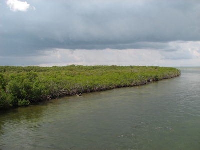 The Florida Keys look a lot like some of the Micronesian Islands...