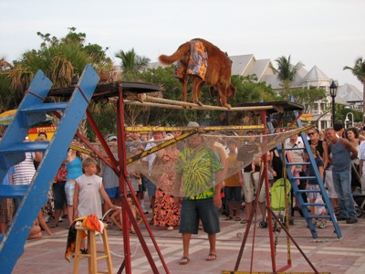 Mallory Square, Key West, FL.