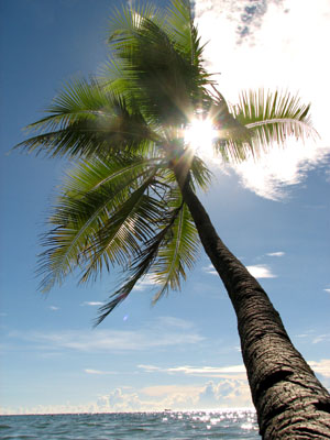 Nahlap Island, Pohnpei