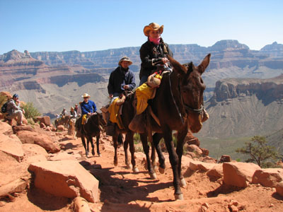 Grand Canyon, Arizona